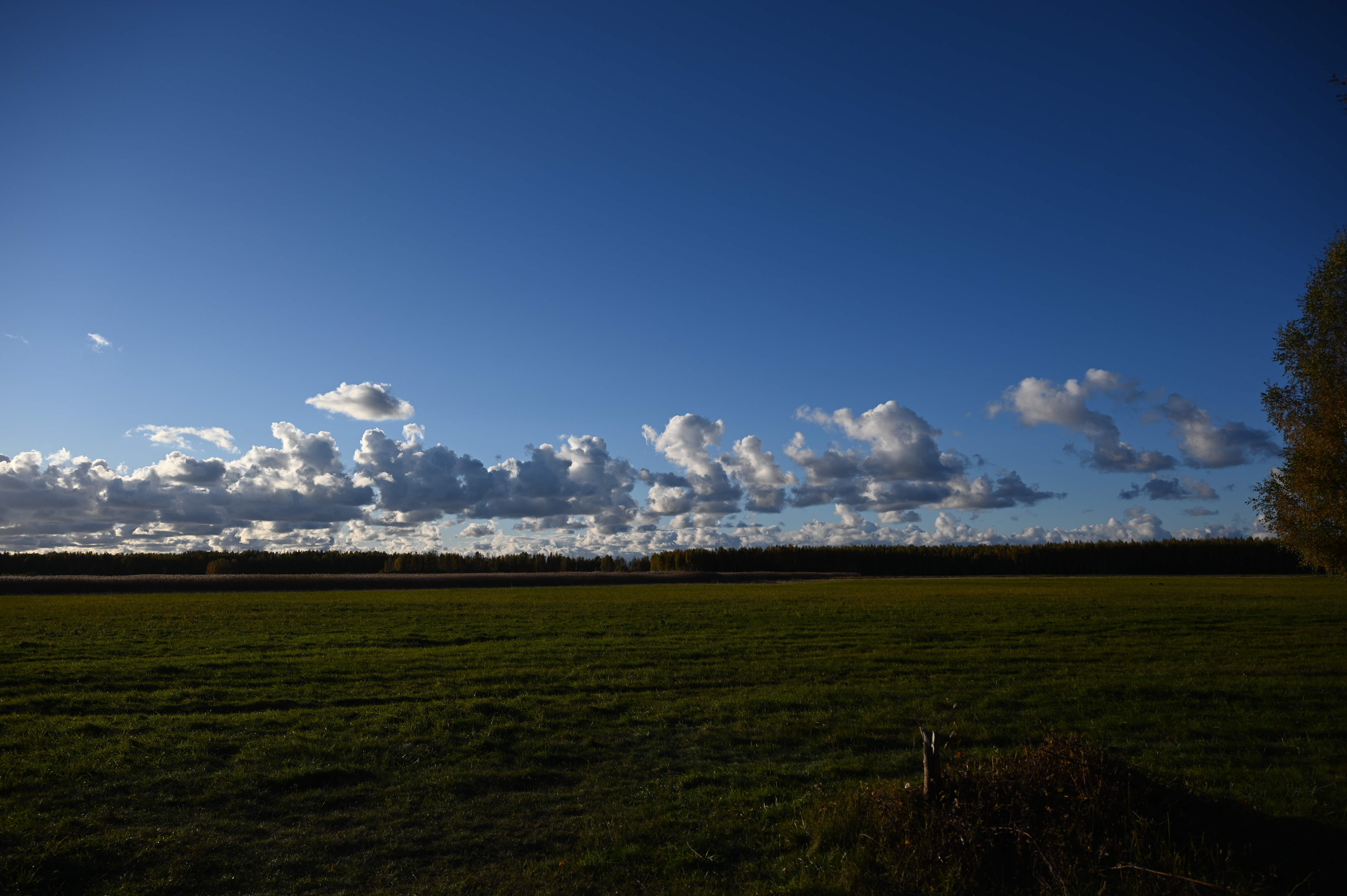 2025/10/18 - walk/DSC_0147.JPG